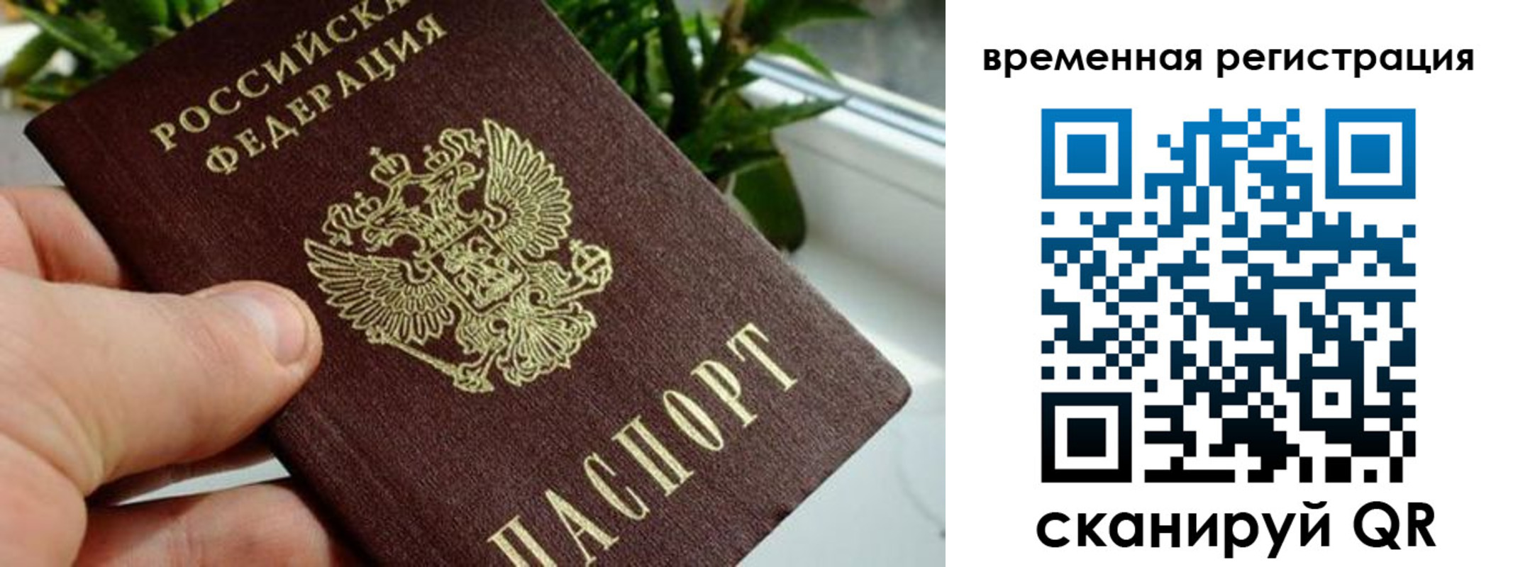 прописка поиск в Калининградской области